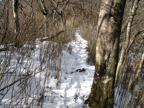 20160218hike (451)